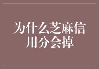 为什么芝麻信用分会掉：一个信用系统的经济学视角