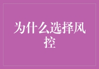 风险控制：风险管理策略的基石