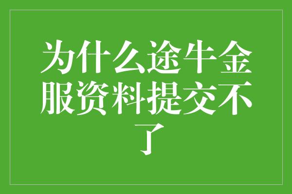 为什么途牛金服资料提交不了