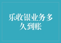 乐收银业务到账速度大揭秘：从收到钱到到账的奇妙旅程