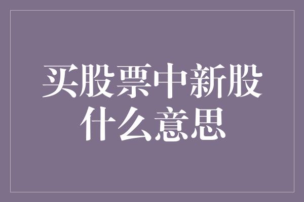 买股票中新股什么意思