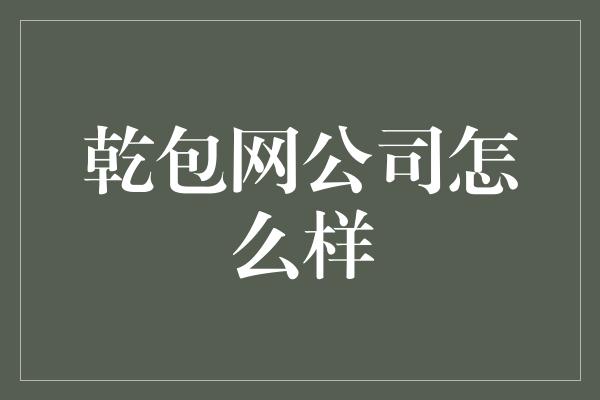 乾包网公司怎么样