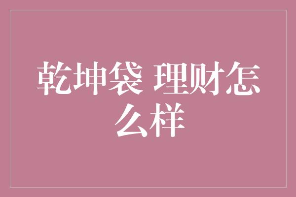 乾坤袋 理财怎么样