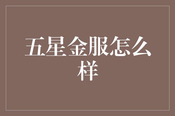 五星金服怎么样