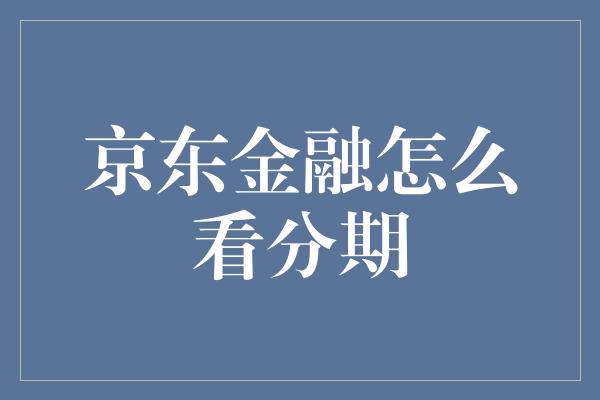 京东金融怎么看分期