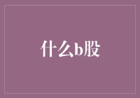 B股市场：蕴藏无限可能的投资宝地