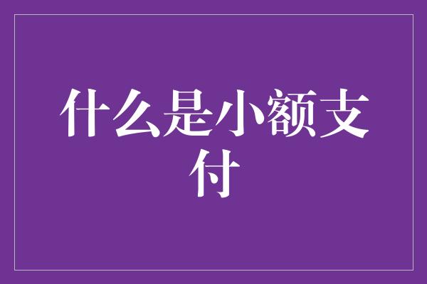 什么是小额支付