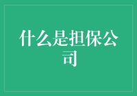 担保公司：当你的信用不够，我来挺你到底