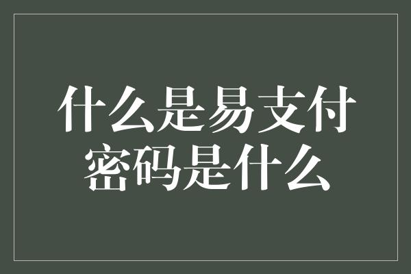 什么是易支付密码是什么