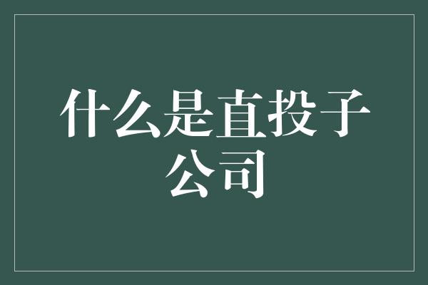 什么是直投子公司