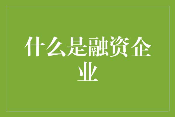 什么是融资企业