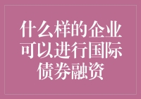 什么样的企业可以进行国际债券融资：企业国际融资能力评估指南