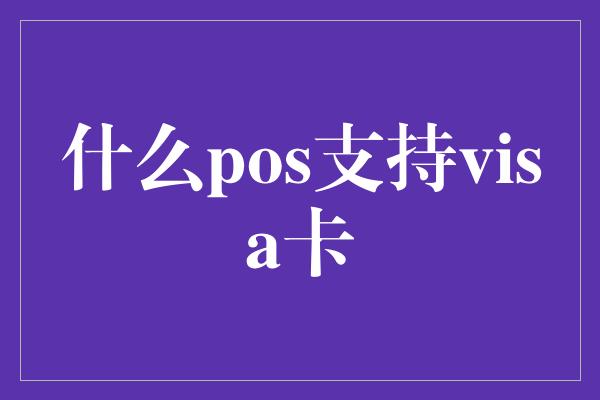 什么pos支持visa卡