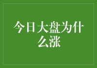 大盘上涨：科技与金融共振的狂欢