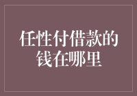 任性付借款的钱去哪儿了？揭秘背后的秘密