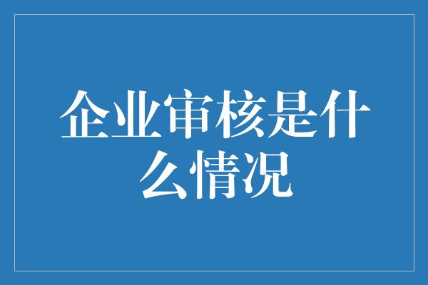 企业审核是什么情况