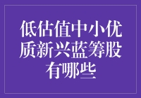 低估值中小优质新兴蓝筹股？你猜是哪只潜力股？