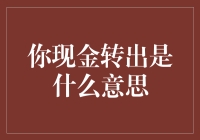 你现金转出是什么意思？别闹了，我在查账！