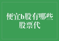 B股市场中的投资机会与风险揭示