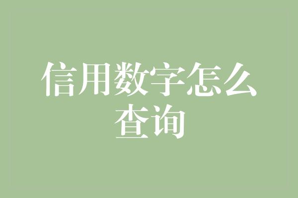 信用数字怎么查询