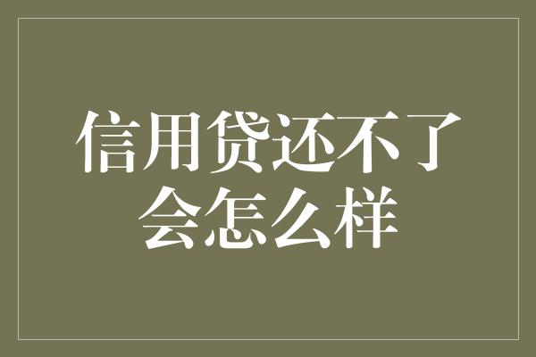 信用贷还不了会怎么样