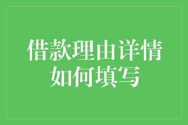 借款理由详情如何填写