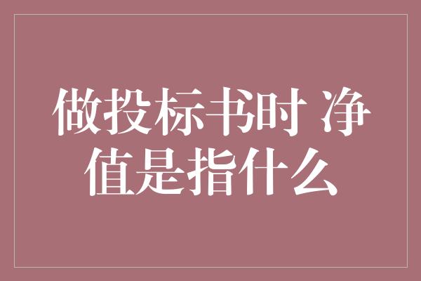 做投标书时 净值是指什么