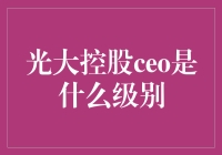 光大控股CEO究竟有多大权力？