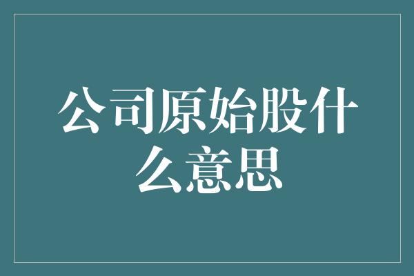 公司原始股什么意思