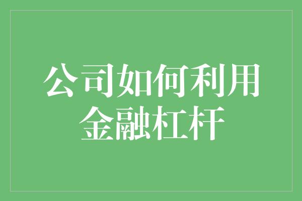 公司如何利用金融杠杆