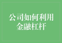 公司如何利用金融杠杆——提升资本效率的方法与策略