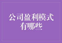 探索企业盈利模式：多元化的经济效益之道