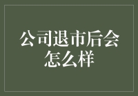 公司退市后的发展路径与挑战