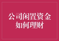 如何让你公司的闲鱼游泳池里养出大鱼：理财激进派VS保守派