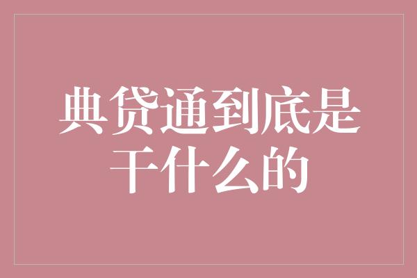 典贷通到底是干什么的