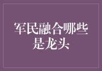 军民融合的核心力量：谁在引领行业发展？