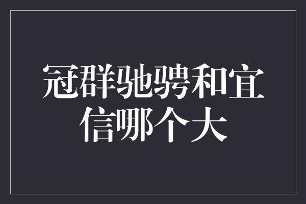 冠群驰骋和宜信哪个大