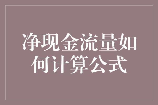 净现金流量如何计算公式