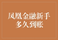 凤凰金融新手用户资金到账时间解析：了解到账流程与影响因素