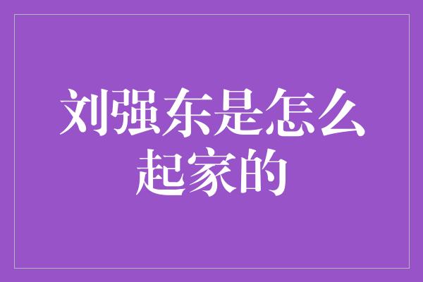 刘强东是怎么起家的