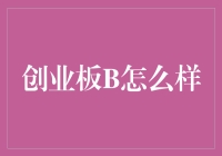 创业板B：一场股市的狂欢与失落