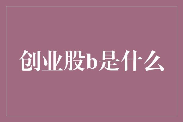 创业股b是什么