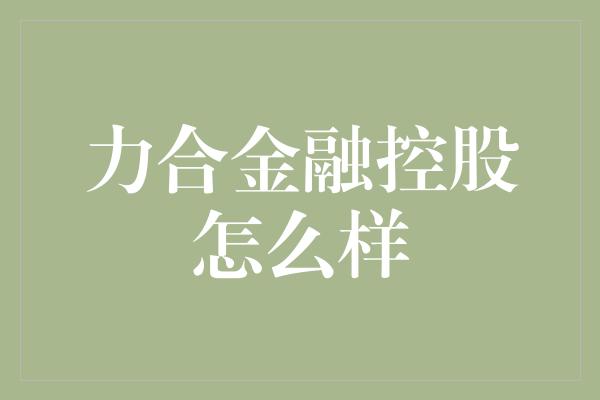 力合金融控股怎么样