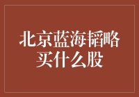 北京蓝海韬略：投资决策分析与股票推荐