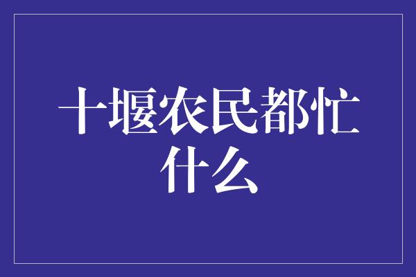 十堰农民都忙什么