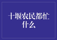 十堰：四季轮回中的忙碌与希望