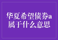 华夏希望债券A：解读其投资策略、风险与收益