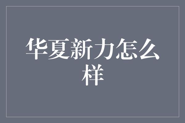 华夏新力怎么样