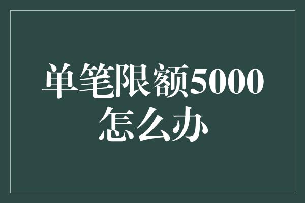 单笔限额5000怎么办