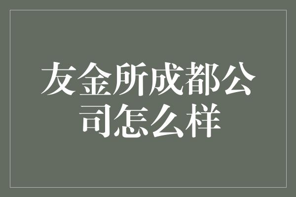 友金所成都公司怎么样